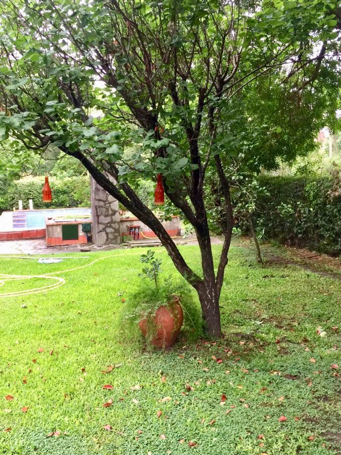 منزل الضيف La Union  في Casa De Huespedes El Trebol De Ezeiza المظهر الخارجي الصورة
