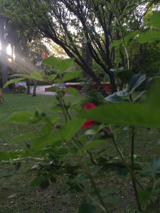 منزل الضيف La Union  في Casa De Huespedes El Trebol De Ezeiza المظهر الخارجي الصورة